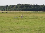 Landgraben Wissenschaft