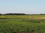 Landgraben